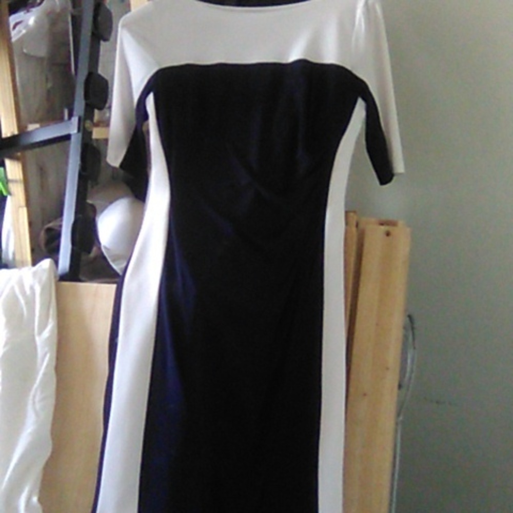 Ralph Lauren dress 8